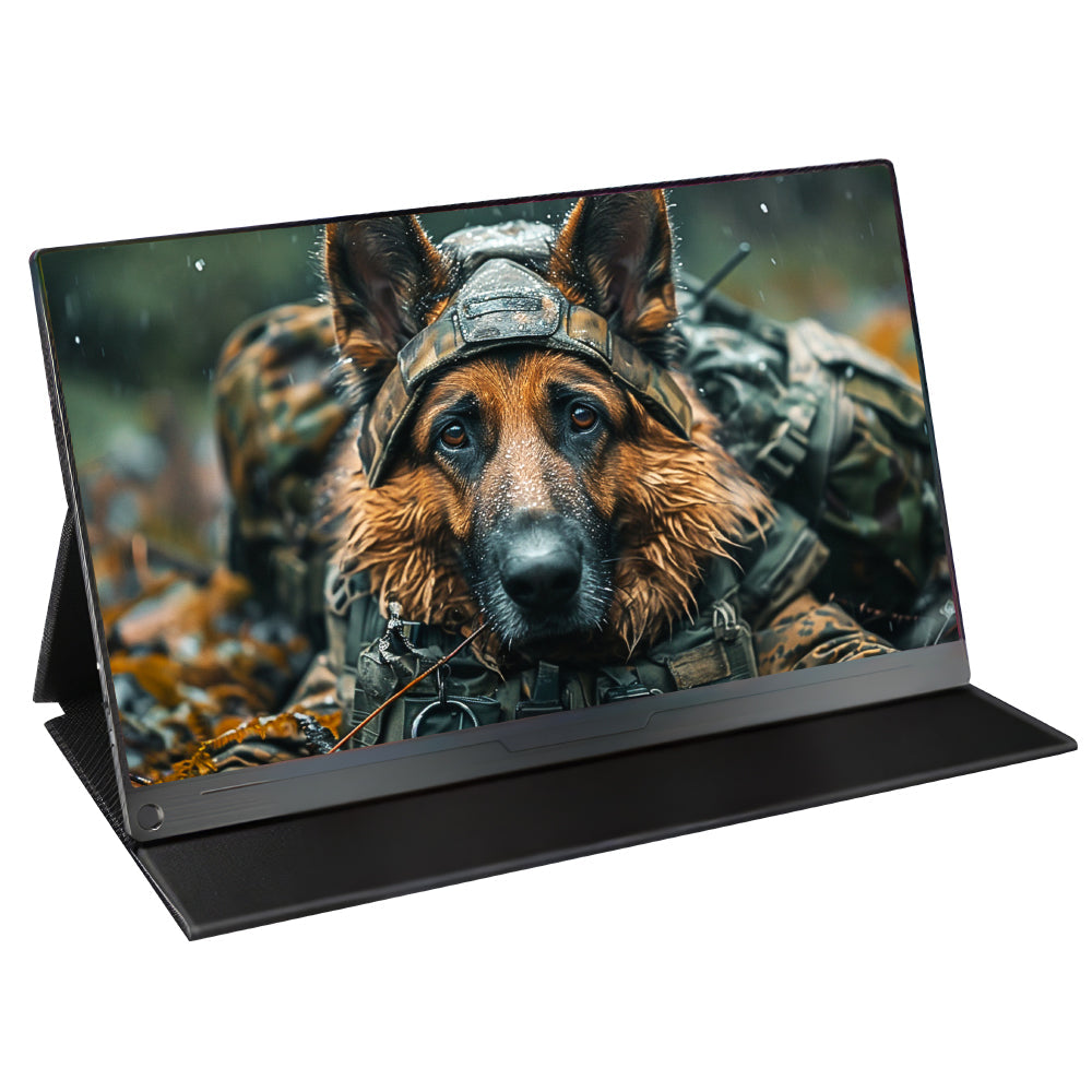 Portable Monitor 15.6inch 1080P USB-C HDMI Display with 3-5ms Response Time and Cover